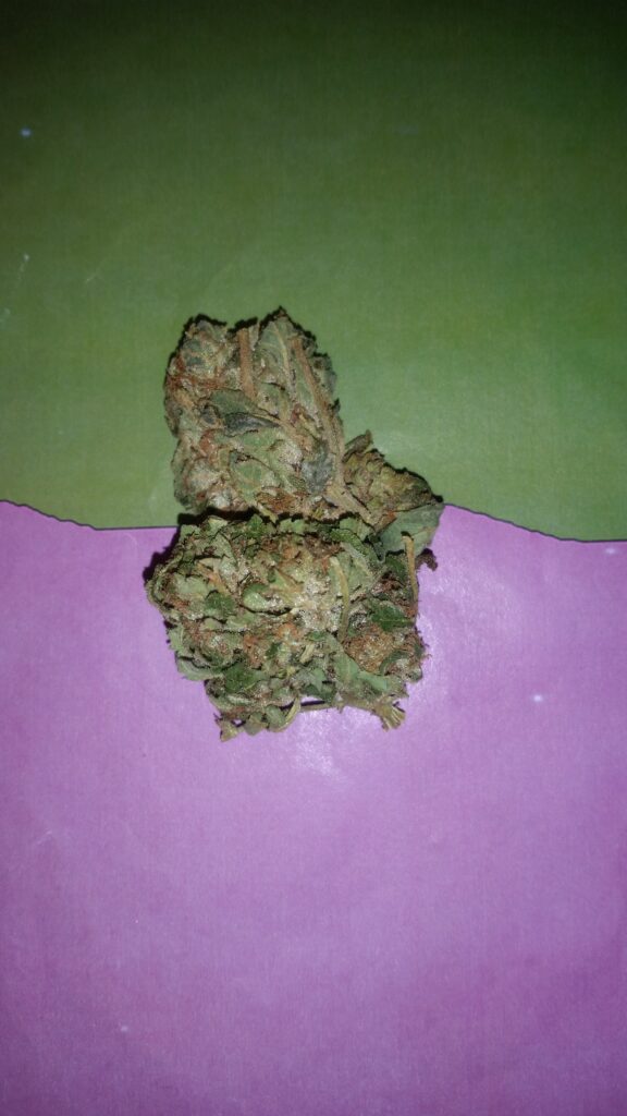 Jack herer